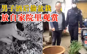 男子酒后偷盆栽放自家观赏：夜间作案，自己爱好盆栽