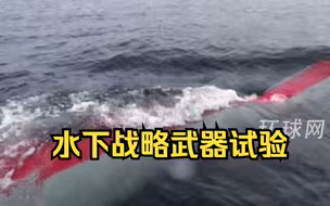 朝鲜宣布进行水下战略武器试验