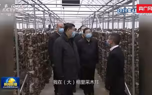【习声回响】小木耳 大产业 新乡村