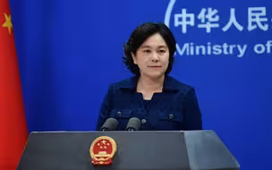 华春莹六问美国民主