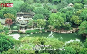 时政微视频｜为子孙后代留下大美湿地