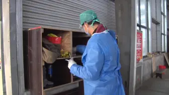 庆元县开展非冷链进口物品核酸检测工作