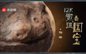 12K微距看三星堆国宝 萌萌的陶猪细节原来长这样