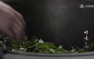 每一位采茶者都要和春天“赛跑”