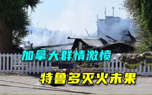 捅了马蜂窝！加拿大掀起纵火浪潮，特鲁多强行“灭火”引发公愤