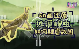 沙漠蝗虫如何肆虐数国？动画还原蝗灾形成原理