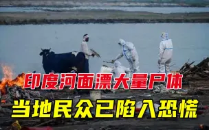 惊悚！印度河面被曝飘着数十具尸体，视频显示为救护车遗弃