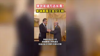 柬中友谊万古长青！柬埔寨国王会见王毅