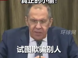 德国试图没收俄7.2亿欧元资产，俄外长怒斥：小偷，真正的小偷！