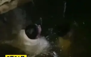 外卖小哥夜间送餐意外落水，桥边摊主下水救人