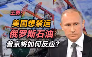 北大王勇：美国想禁运俄罗斯石油，普京将如何反应？