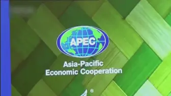 APEC强调强化区域经贸合作 战疫情 促复苏