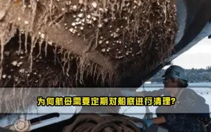 为何航母需要定期对船底进行清理专家清理费用小国无法承担