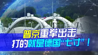 “七寸”已被普京拿捏，德挣扎也是徒劳，还是先尝尝被开瓢的滋味