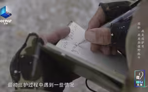 岁岁月月的守护，让野牦牛离去又归来
