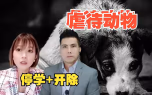 在美国学校，虐待动物会被立即停学甚至开除