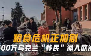 600万乌克兰人涌入欧洲，粮食危机正逼近各国，中东也开始慌了