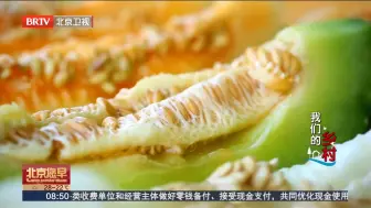 这只网纹甜瓜，是你童年夏天的甜蜜回忆吗？