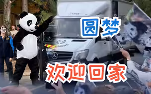 旅法大熊猫“圆梦”前往机场准备回国 民众穿“熊猫服”夹道欢送