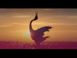 2024，中国向上！