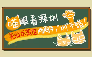 深圳为什么行？喵星人也打卡先行示范区