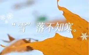 小得即圆满，雪落不知寒。今日 #小雪 #二十四节气