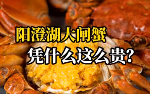 上千元的阳澄湖大闸蟹水有多深？小心，这些都是假的！