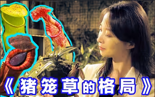 【张扬Vlog】谁说猪笼草只吃虫子的？？