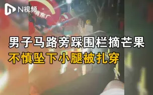 珠海一男子路边摘芒果，不慎坠下小腿被围栏扎穿