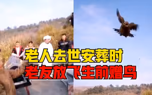 老人去世安葬老友放飞生前赠鸟，家人：替老人高兴有这样的朋友