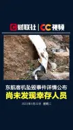 东航客机坠毁事件详情公布 尚未发现幸存人员