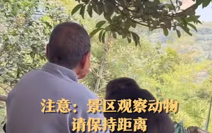 师太给独臂猴剥柚子吃，突然被它咬住手，下一秒令人感动…