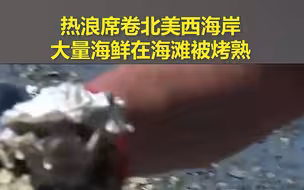 北美西海岸海鲜被高温烤熟 吃货网友：拿来吧你
