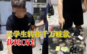 大学生转移千万赃款获利1万2：银行提供线索，已抓捕归案