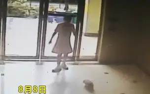 女子小区遛狗不拴绳 狗狗大便不清理 致老人踩到狗便摔倒