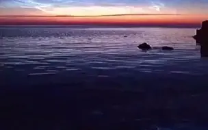 涠洲岛出现荧光海滩 你知道荧光海是如何形成的吗？然而这绝美荧光海的出现竟然是隐患。