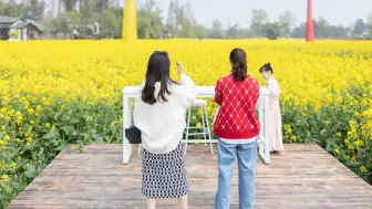 农业+景观  成都这个村不一般