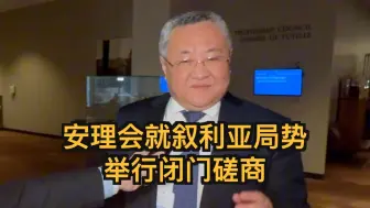 安理会就叙利亚局势举行闭门磋商
