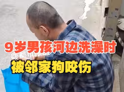 9岁男孩河边洗澡时，被邻家狗咬伤。“头皮被咬掉  腿上骨头都露出来了”