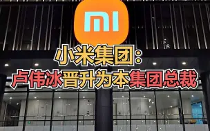 小米集团：卢伟冰晋升为本集团总裁
