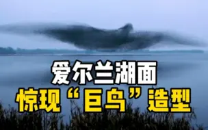 美翻了！爱尔兰鸟群在空中组成巨鸟造型，摄影师往返五十次拍摄