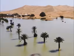 撒哈拉沙漠发洪水？当地人：已有三五十年未见