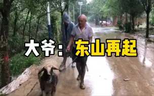 暴雨后羊群冲走百余只羊仅剩一只，大爷说东山再起