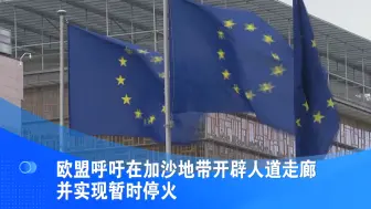 欧盟呼吁在加沙地带开辟人道走廊并实现暂时停火
