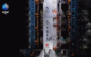 好浪漫～兔子帮人类探索世界的历史