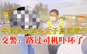 导航提示掉头女子高速逆行，交警：你把路过司机吓坏了