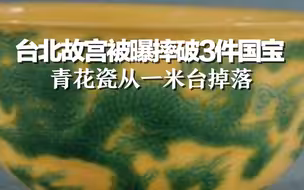 价值超5.6亿元！台北故宫被曝摔破3件国宝，青花瓷从一米台掉落