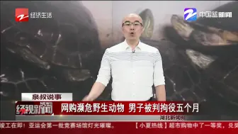网购濒危野生动物  男子被判拘役五个月
