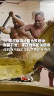 印度咖喱被指含致癌物，美国开查：正在收集相关信息，此前香港新加坡已禁售部分商品