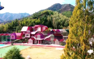 小学生化身采购员和技术员学习知识